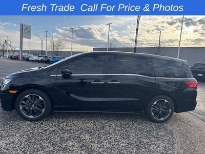 2023 Honda Odyssey Elite