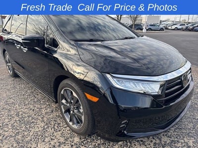 2023 Honda Odyssey Elite