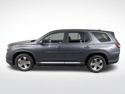 2024 Honda Pilot EX-L 8 Passenger