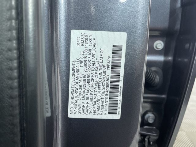 2024 Honda Pilot EX-L 8 Passenger