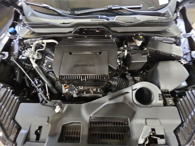 2024 Honda Pilot EX-L 8 Passenger