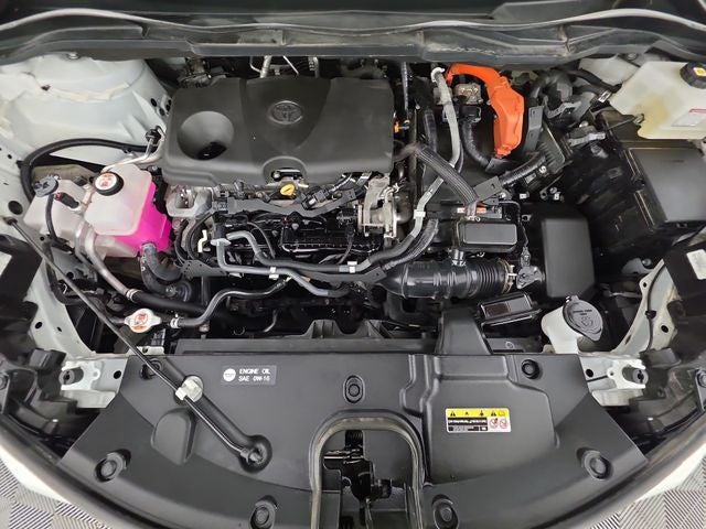 2021 Toyota Sienna Platinum 7 Passenger